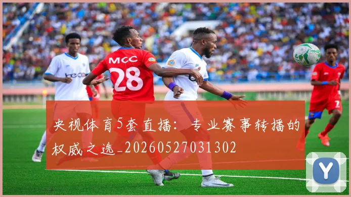 央视体育5套直播：专业赛事转播的权威之选_20260527031302
